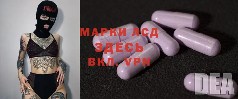 как найти закладки  Кашира  LSD-25 экстази ecstasy 